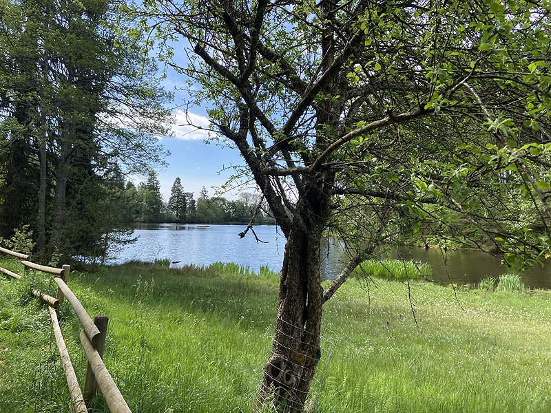 Der Badesee Schlüchtsee in Grafenhausen in Baden-Württemberg