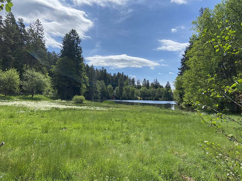 Der Badesee Schlüchtsee in Grafenhausen in Baden-Württemberg