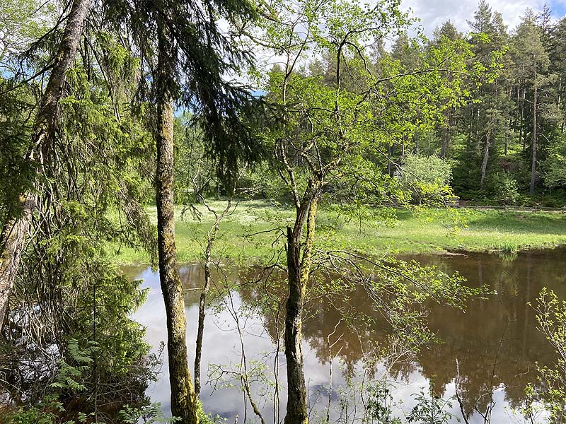 Der Badesee Schlüchtsee in Grafenhausen in Baden-Württemberg