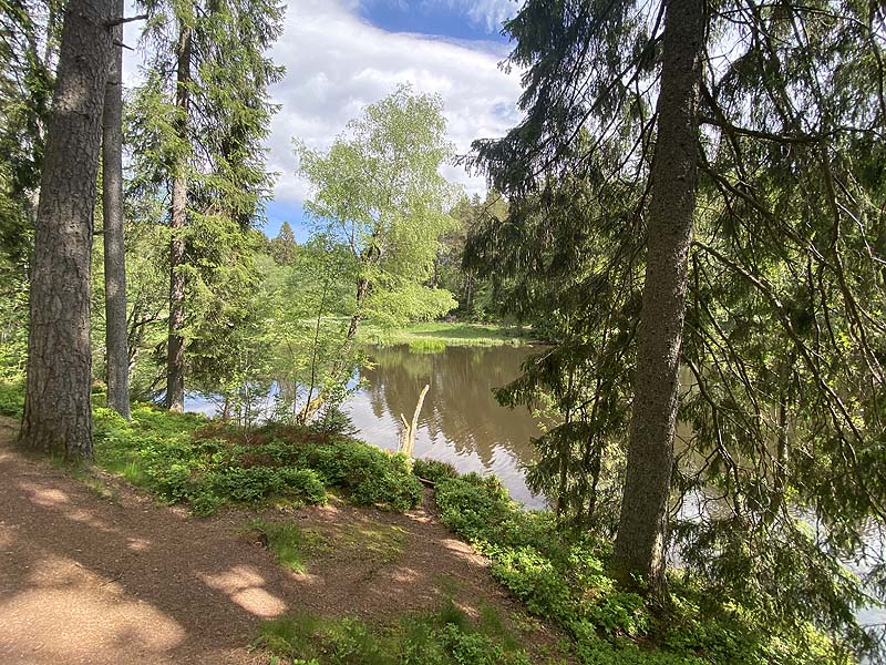 Der Badesee Schlüchtsee in Grafenhausen in Baden-Württemberg