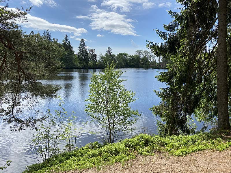 Der Badesee Schlüchtsee in Grafenhausen in Baden-Württemberg