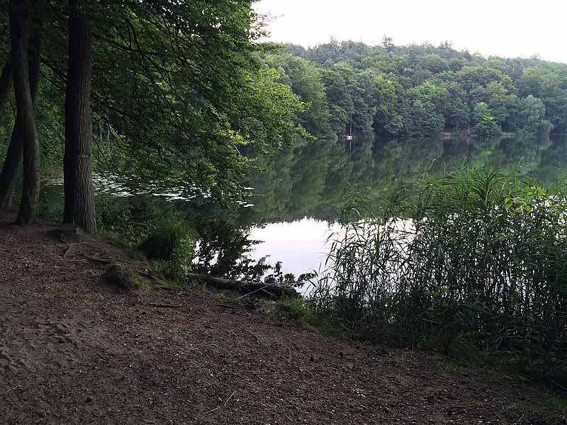 Schmalsee (Mölln, Schleswig-Holstein)