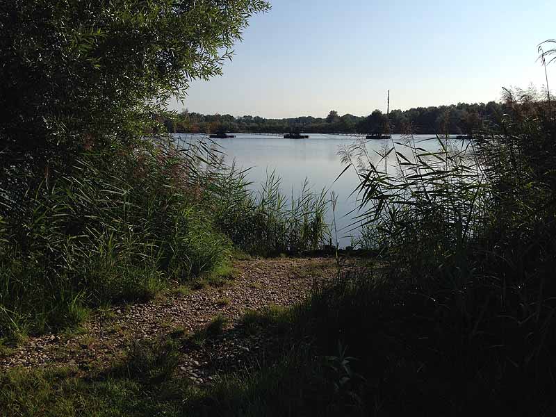 Kieswerksee (Schwanau, Baden-Württemberg)