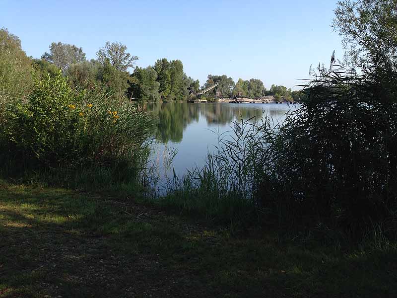 Kieswerksee (Schwanau, Baden-Württemberg)