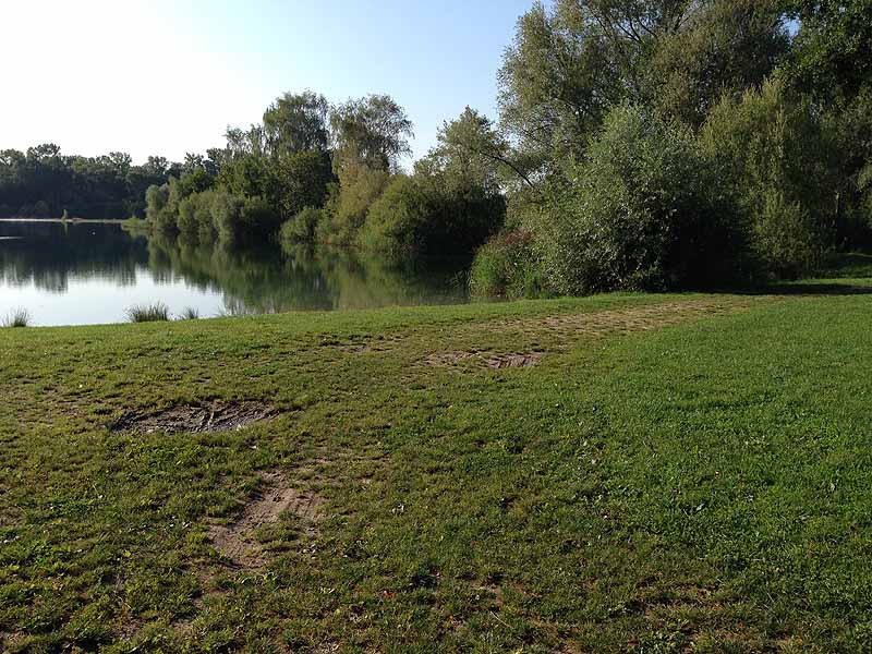 Kieswerksee (Schwanau, Baden-Württemberg)