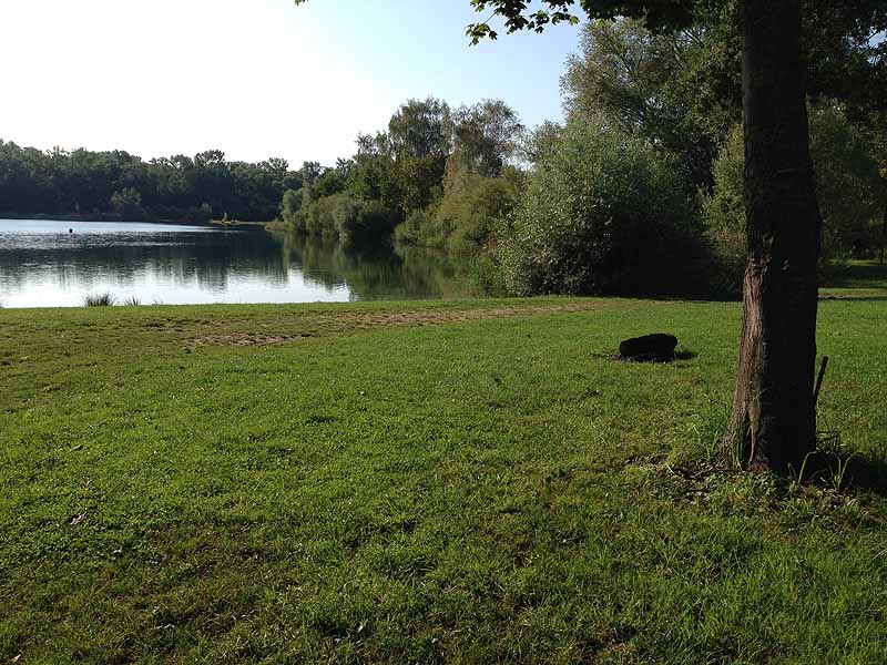 Kieswerksee (Schwanau, Baden-Württemberg)