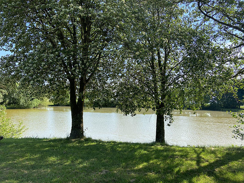 Der Badesee Schwarzenbronner See in Creglingen in Baden-Württemberg