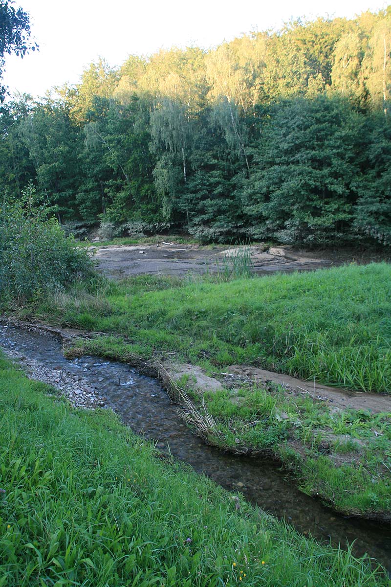 Seidewitz-Talsperre (Liebstadt, Sachsen)