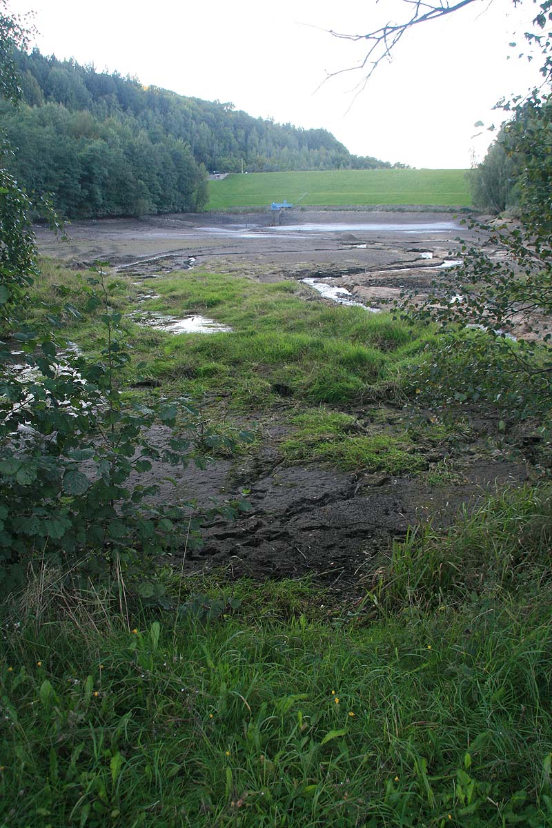 Seidewitz-Talsperre (Liebstadt, Sachsen)