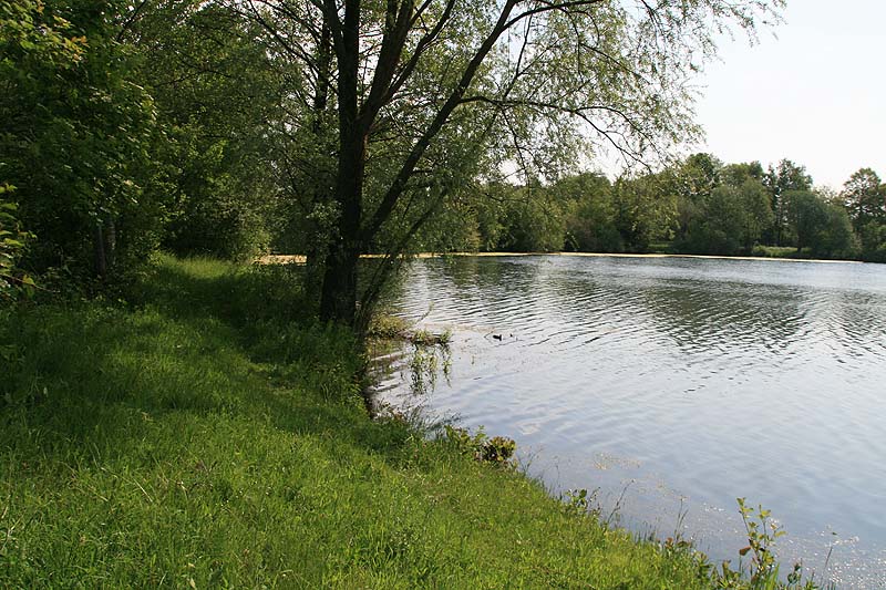 Seller See (Steinfurt, Nordrhein-Westfalen)