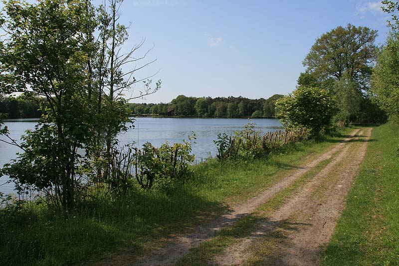 Seller See (Steinfurt, Nordrhein-Westfalen)