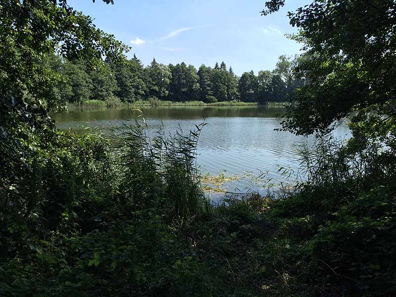 Selliner See (Zurow, Mecklenburg-Vorpommern)