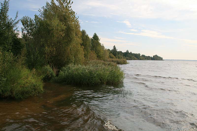 Senftenberger See (Senftenberg, Brandenburg)