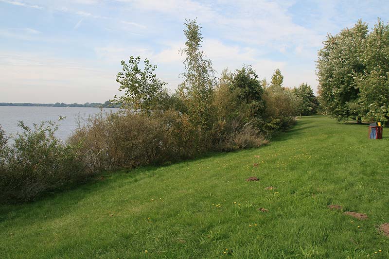 Senftenberger See (Senftenberg, Brandenburg)