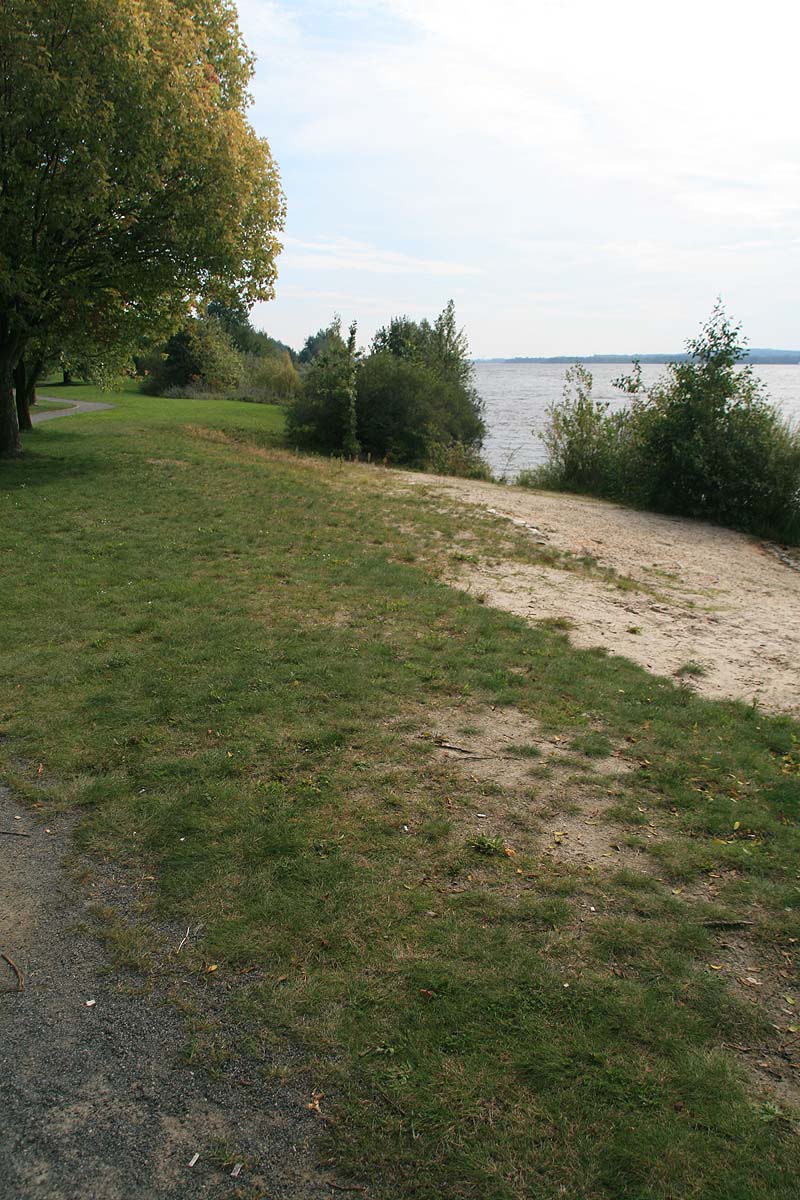 Senftenberger See (Senftenberg, Brandenburg)