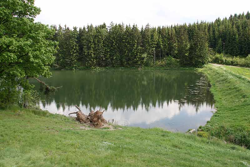 Silbersee/Speicher Elsterschänke (Saalfeld/Saale, Thüringen)