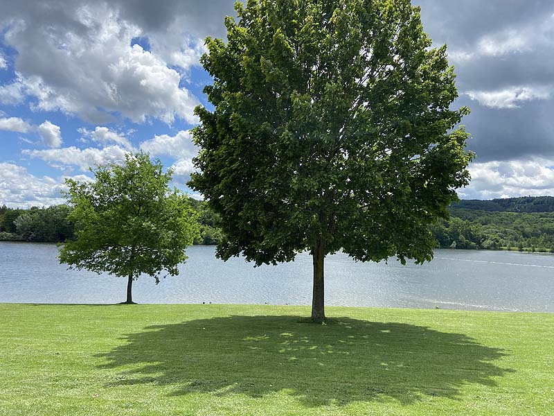 Der Badesee Ehmetsklinge in Zaberfeld in Baden-Württemberg