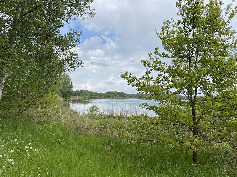 Der Badesee Steinberger See in Wackersdorf