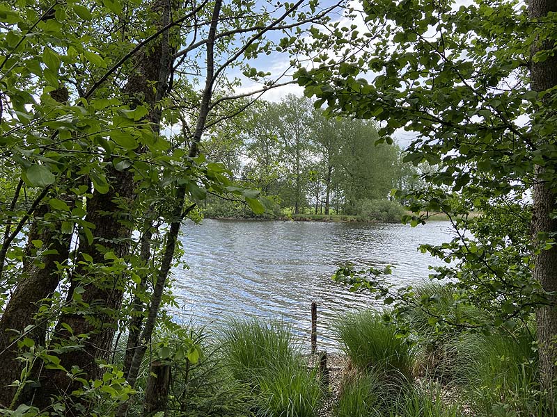 Stockweiher (Wolfegg, Baden-Württemberg)