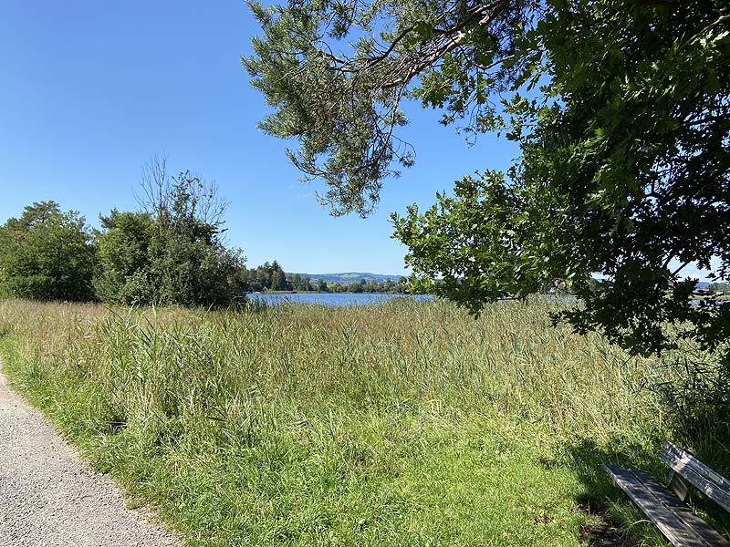 Der Badesee Sulzberger See in Sulzberg