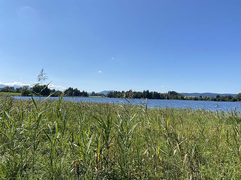 Der Badesee Sulzberger See in Sulzberg