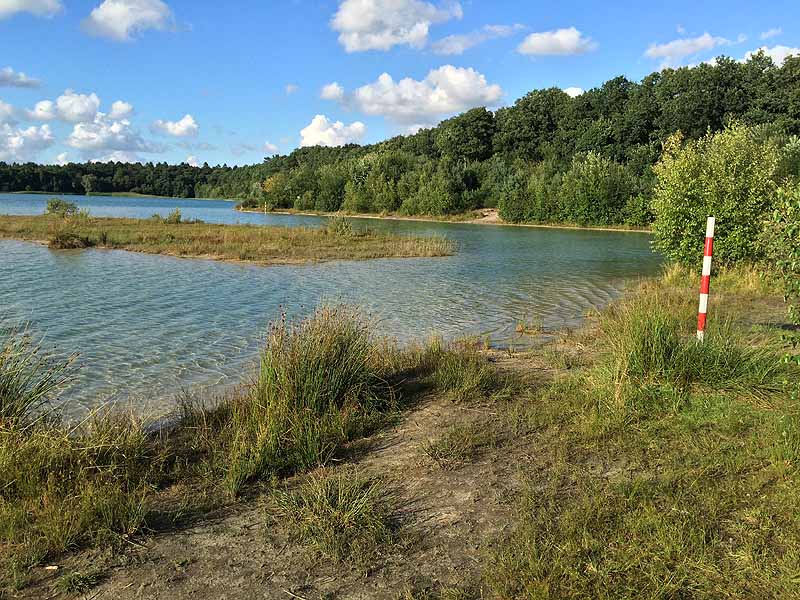 Kiessee (Tannenhausen, Niedersachsen)