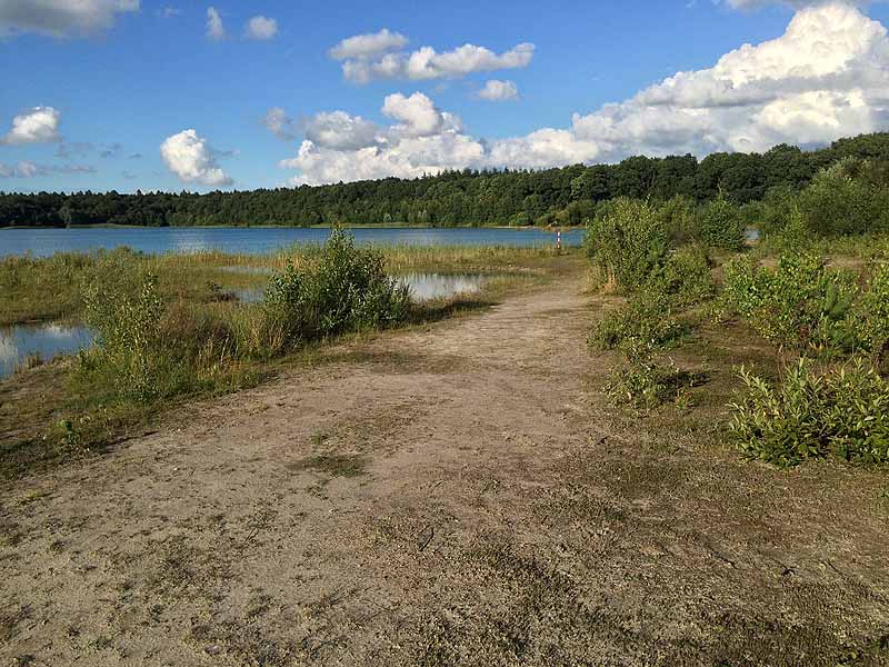 Kiessee (Tannenhausen, Niedersachsen)