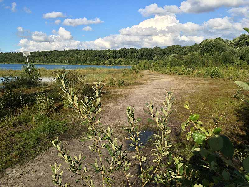 Kiessee (Tannenhausen, Niedersachsen)