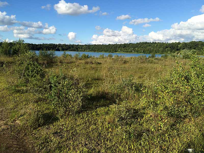 Kiessee (Tannenhausen, Niedersachsen)