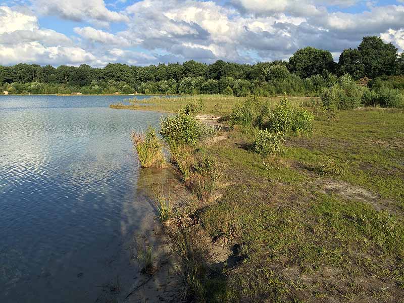 Kiessee (Tannenhausen, Niedersachsen)