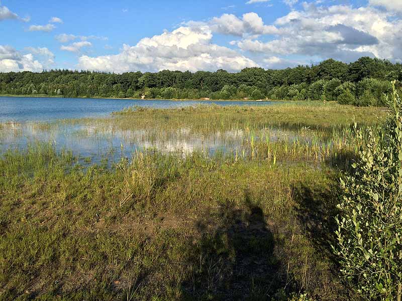 Kiessee (Tannenhausen, Niedersachsen)