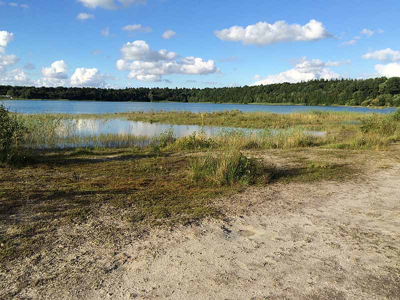 Kiessee (Tannenhausen, Niedersachsen)