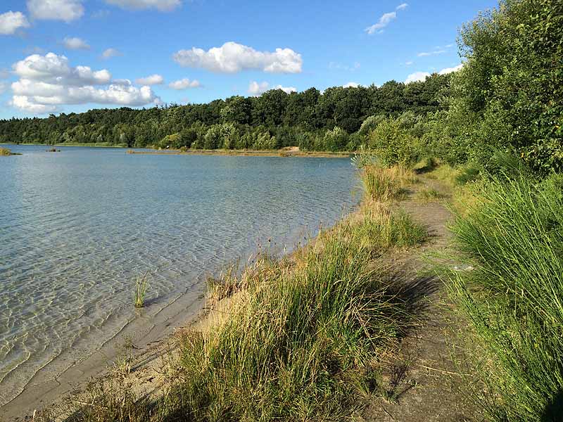 Kiessee (Tannenhausen, Niedersachsen)