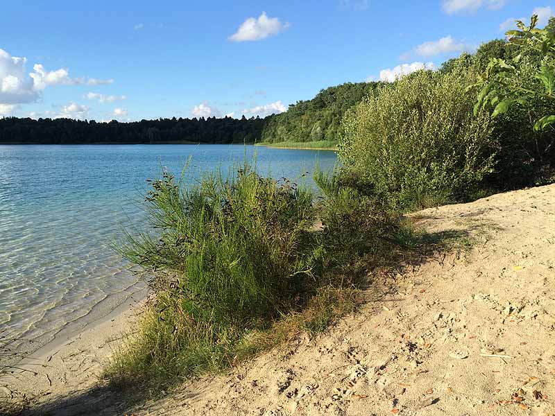 Kiessee (Tannenhausen, Niedersachsen)