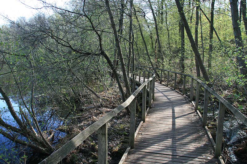 Der Teufelssee am Müggelturm in Berlin