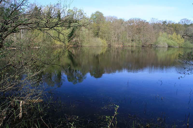 Der Teufelssee am Müggelturm in Berlin