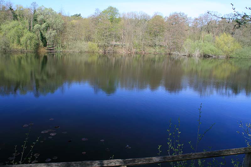 Der Teufelssee am Müggelturm in Berlin