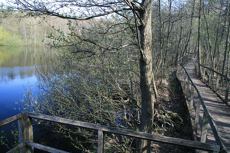 Der Teufelssee am Müggelturm in Berlin