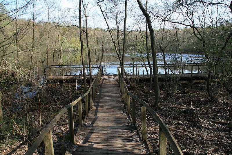 Der Teufelssee am Müggelturm in Berlin