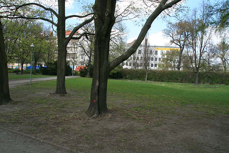 Kleiner Tiergarten in Berlin