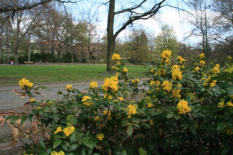 Kleiner Tiergarten in Berlin