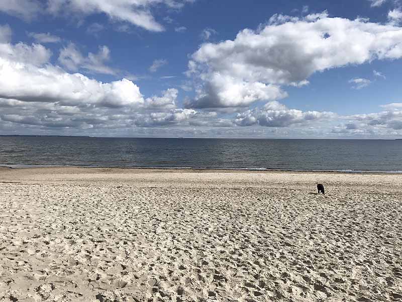 Ostseestrand (Timmendorfer Strand, Schleswig-Holstein)