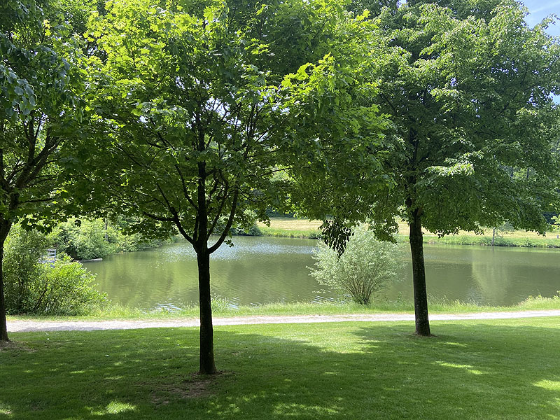 Der Badesee Tiroler Seen in Forchtenberg in Baden-Württemberg