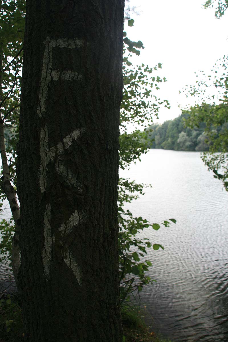 Kleiner Tonteich (Bestensee, Brandenburg)