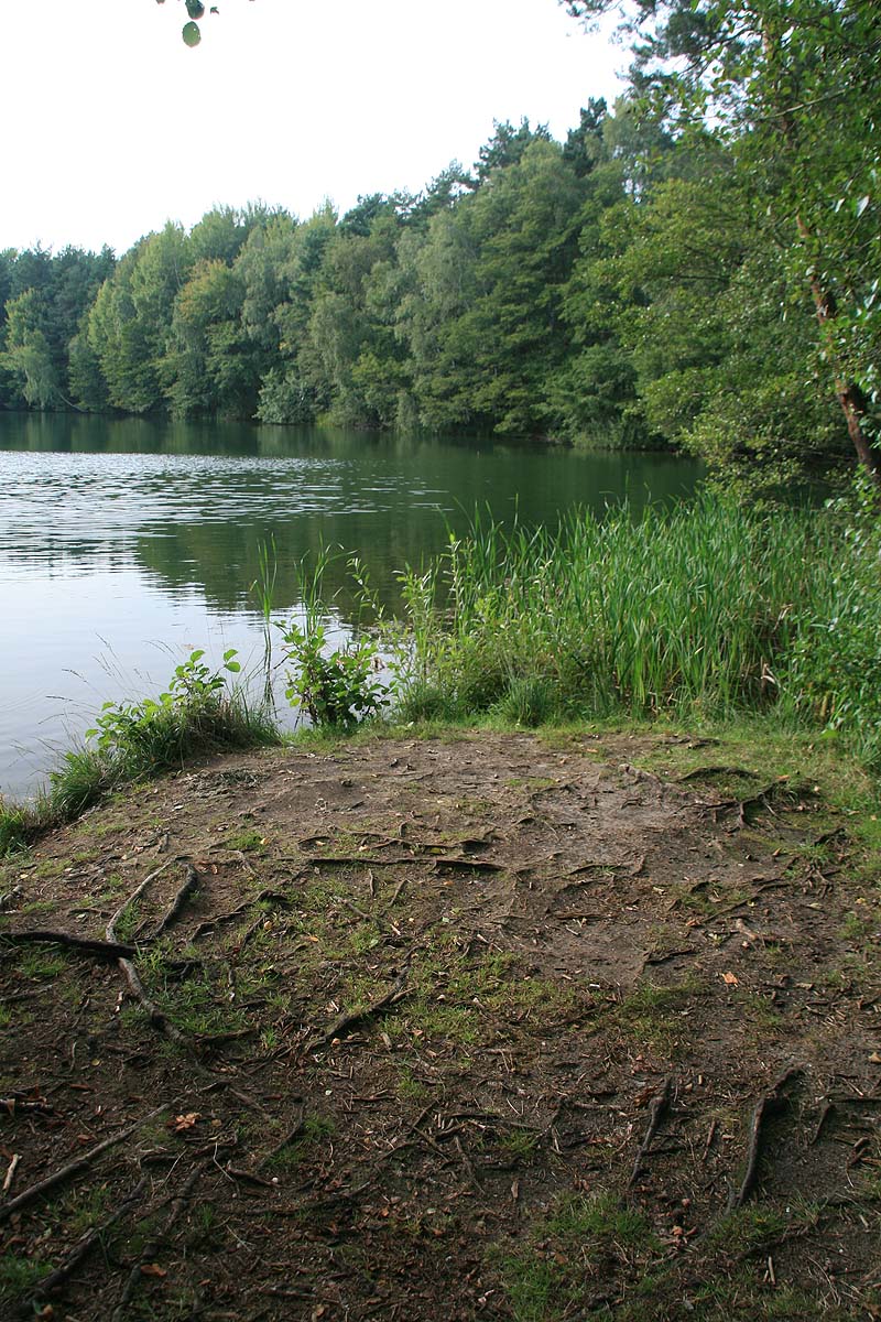 Kleiner Tonteich (Bestensee, Brandenburg)