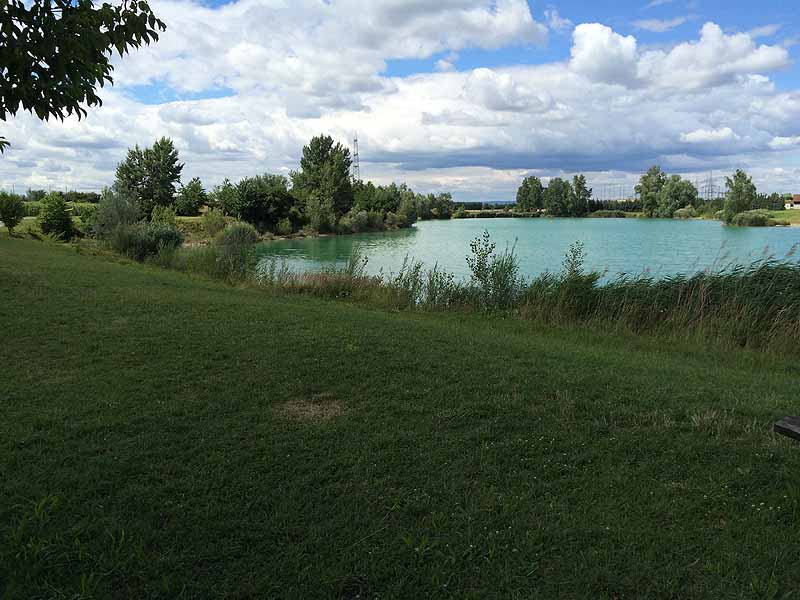 Trasdorfer See (Trasdorf, Niederösterreich)