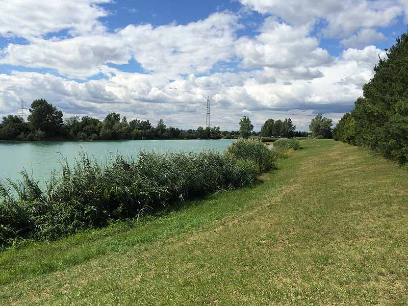 Trasdorfer See (Trasdorf, Niederösterreich)