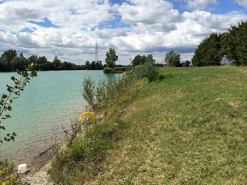 Trasdorfer See (Trasdorf, Niederösterreich)