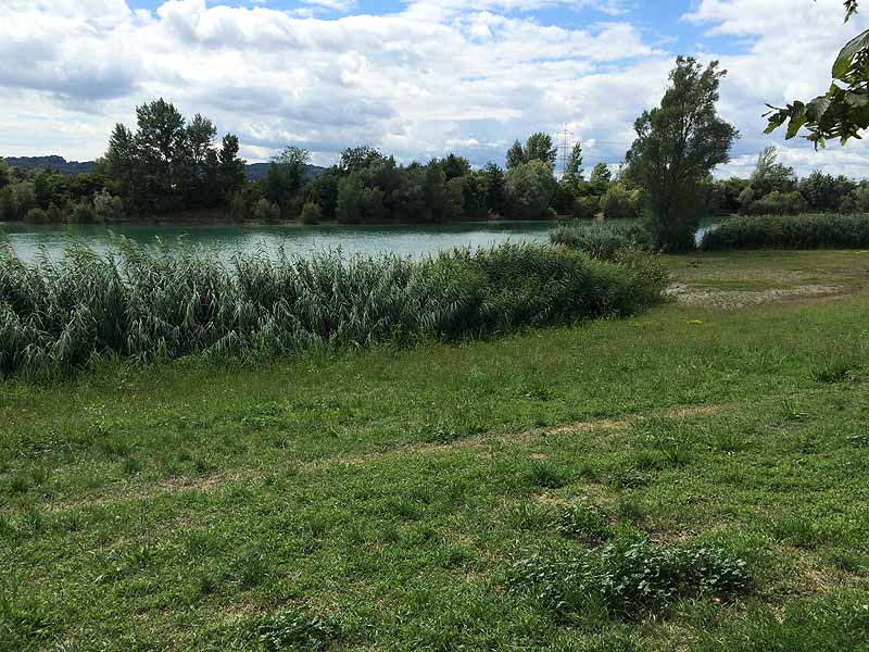 Trasdorfer See (Trasdorf, Niederösterreich)