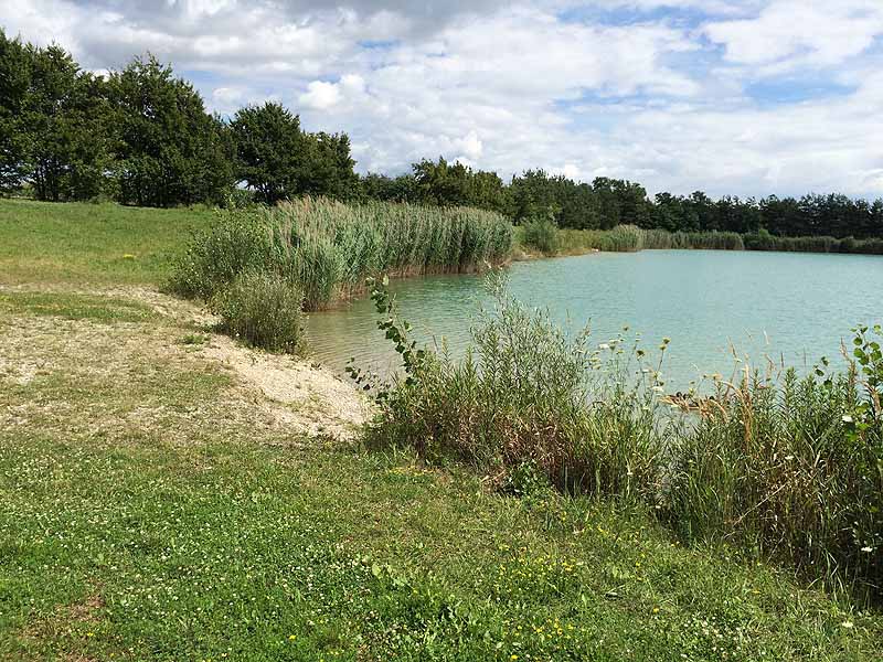 Trasdorfer See (Trasdorf, Niederösterreich)